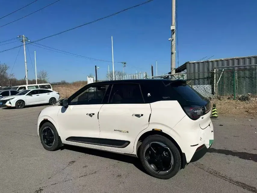 2024 DongFeng Nammi 01 BEV 42.3KWH,autocango,china used car exporter,china ev exporter,chinese used car exporter,chinese used ev exporter