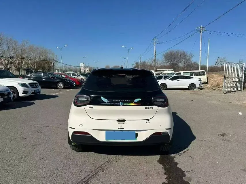 2024 DongFeng Nammi 01 BEV 42.3KWH,autocango,china used car exporter,china ev exporter,chinese used car exporter,chinese used ev exporter