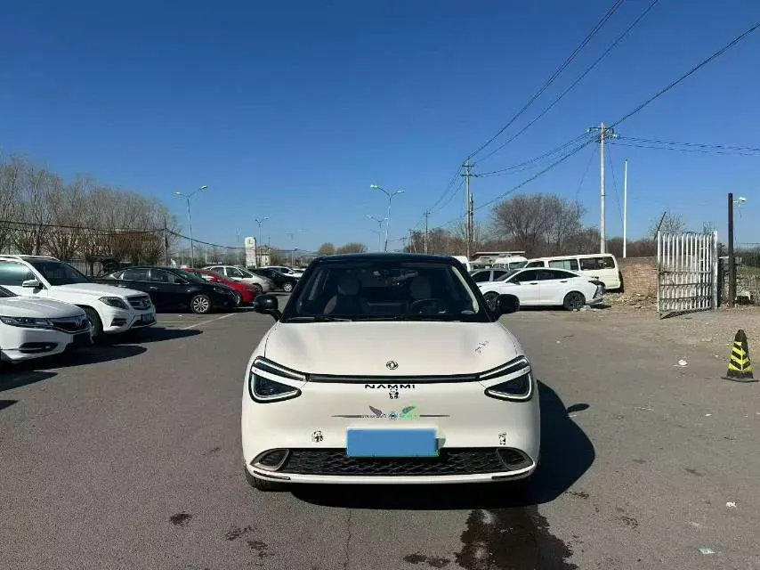 2024 DongFeng Nammi 01 BEV 42.3KWH,autocango,china used car exporter,china ev exporter,chinese used car exporter,chinese used ev exporter