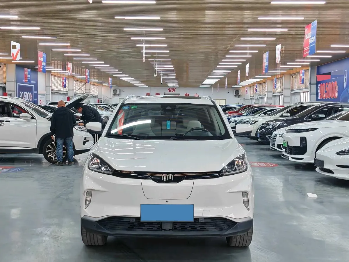 2019 BMW 2 Series Wagon 1.5T 136HP L3 6AT,autocango,china used car exporter,china ev exporter,chinese used car exporter,chinese used ev exporter