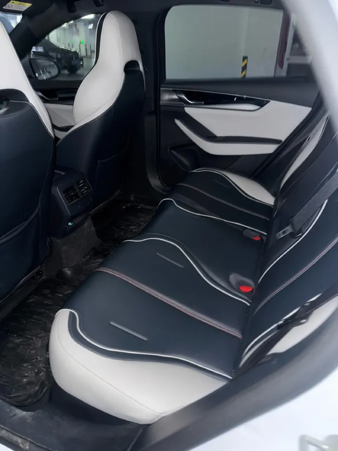 2021 DongFeng FuKang e Elysee BEV 38.4KWH,autocango,china used car exporter,china ev exporter,chinese used car exporter,chinese used ev exporter