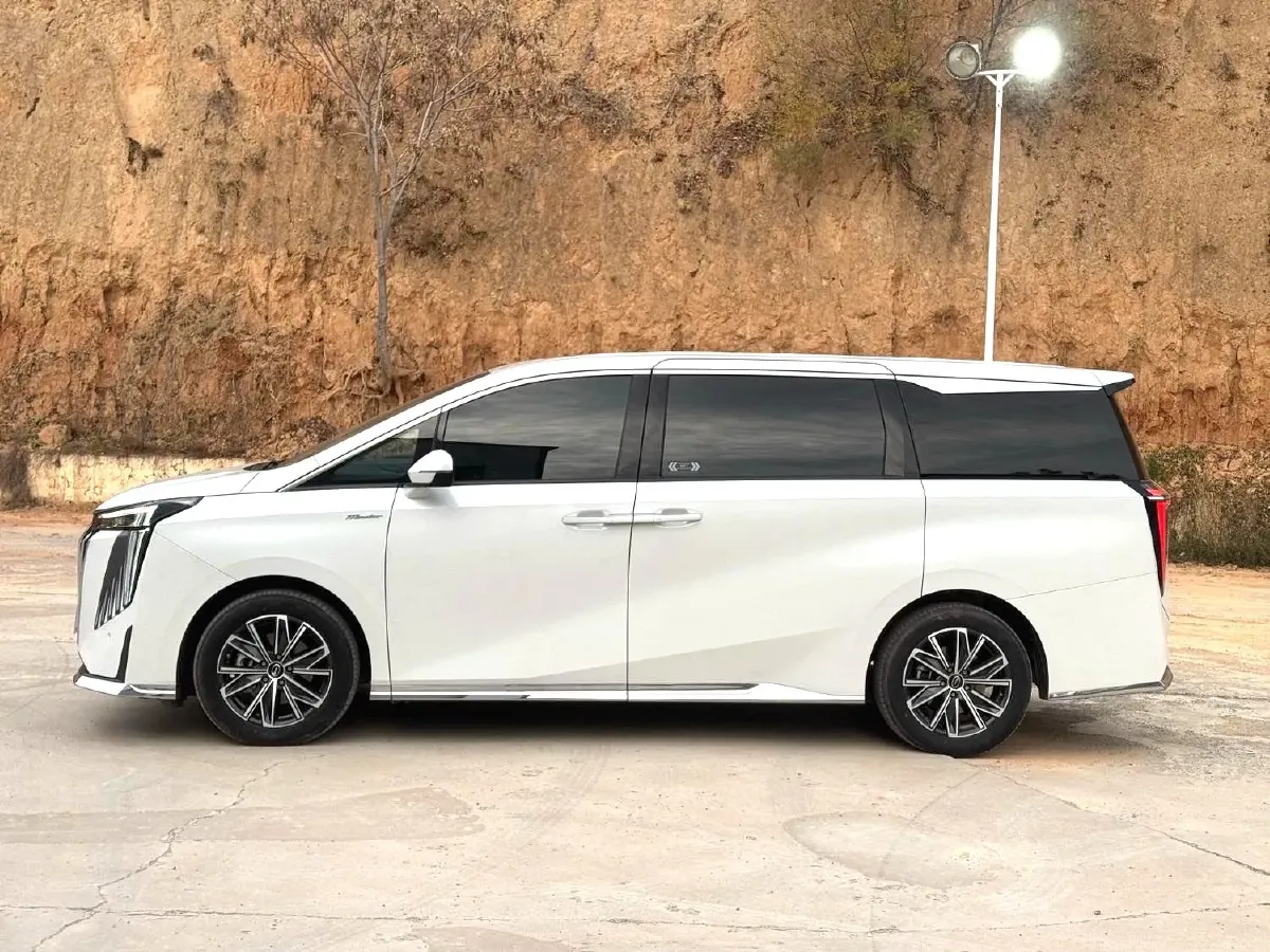 2024 GAC Trumpchi M8 2.0T 252HP L4 8AT,autocango,china used car exporter,china ev exporter,chinese used car exporter,chinese used ev exporter