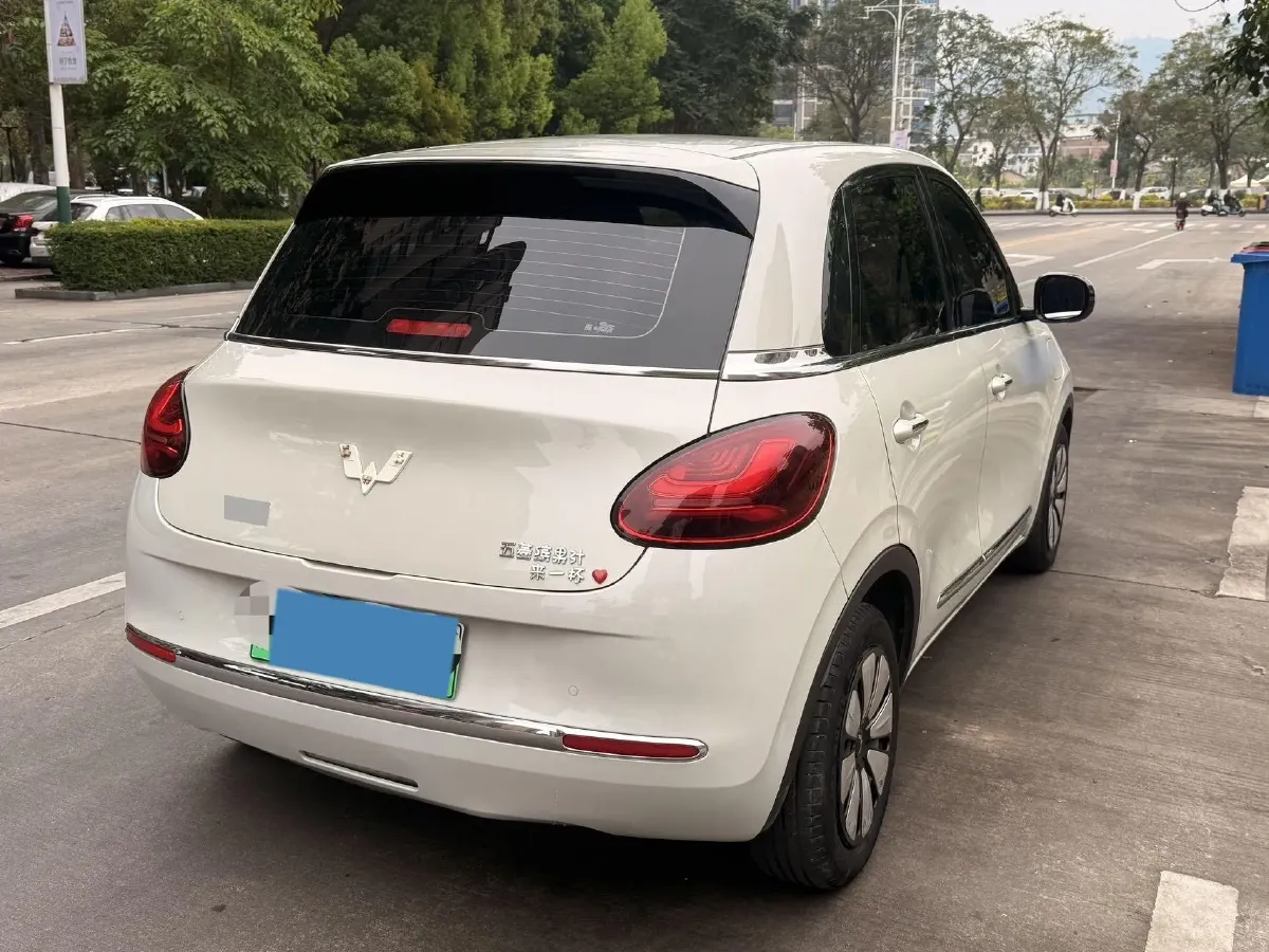 2023 WuLing BinGuo BEV 31.9KWH,autocango,china used car exporter,china ev exporter,chinese used car exporter,chinese used ev exporter