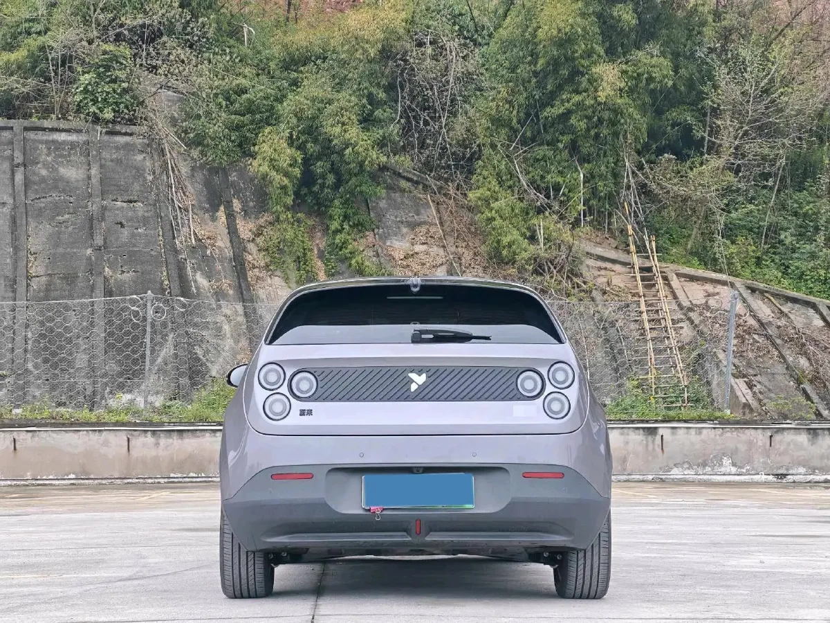 2025 Firefly Firefly BEV,autocango,china used car exporter,china ev exporter,chinese used car exporter,chinese used ev exporter