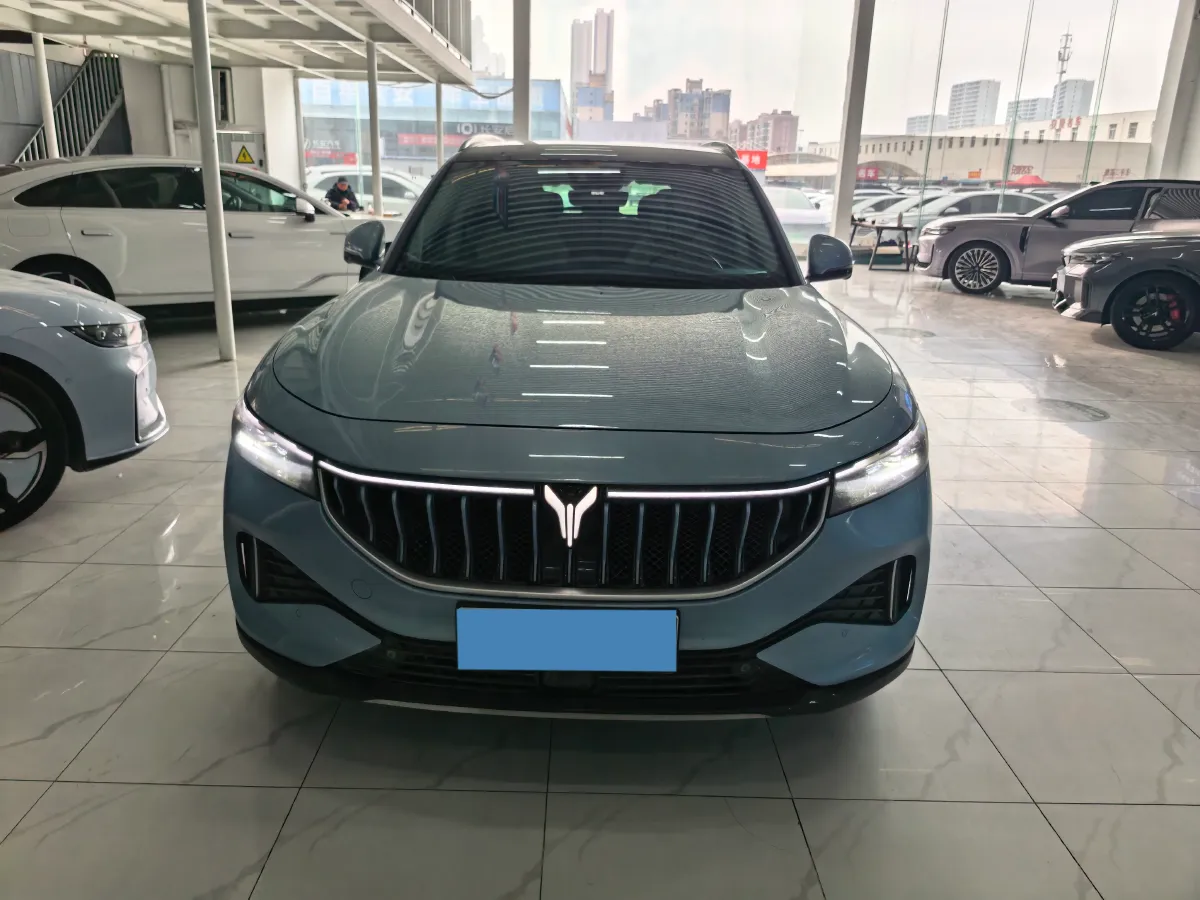 2021 Voyah FREE Range Extended 109HP REEV 33KWH,autocango,china used car exporter,china ev exporter,chinese used car exporter,chinese used ev exporter
