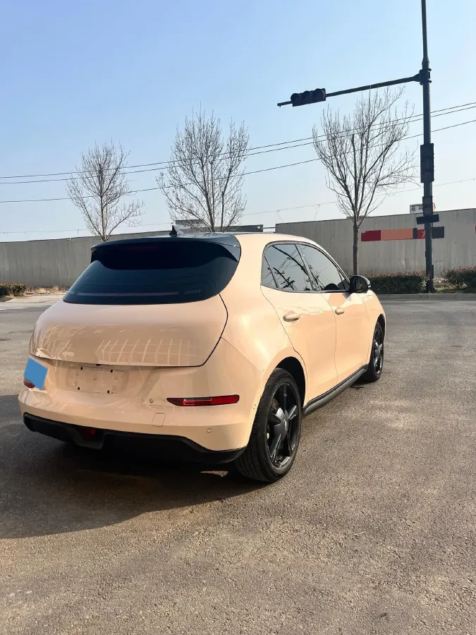2021 Ora FunkyCat BEV 45.99KWH,autocango,china used car exporter,china ev exporter,chinese used car exporter,chinese used ev exporter