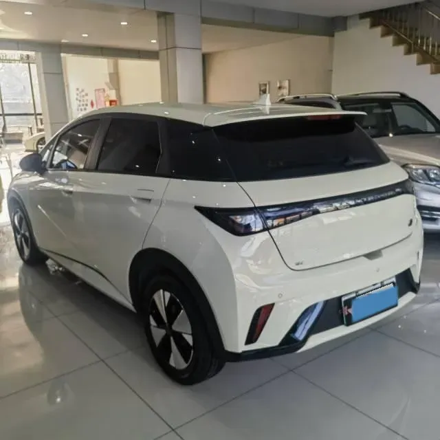 2023 BYD Dolphin BEV 44.928KWH,autocango,china used car exporter,china ev exporter,chinese used car exporter,chinese used ev exporter