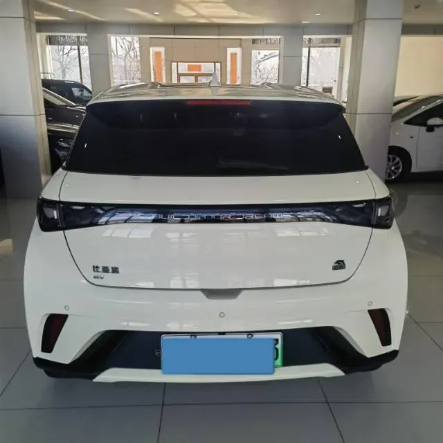 2023 BYD Dolphin BEV 44.928KWH,autocango,china used car exporter,china ev exporter,chinese used car exporter,chinese used ev exporter
