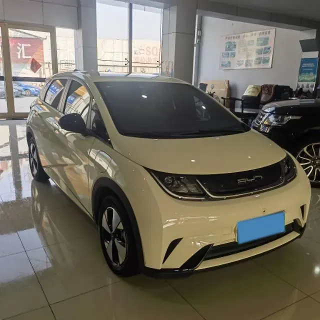 2023 BYD Dolphin BEV 44.928KWH,autocango,china used car exporter,china ev exporter,chinese used car exporter,chinese used ev exporter