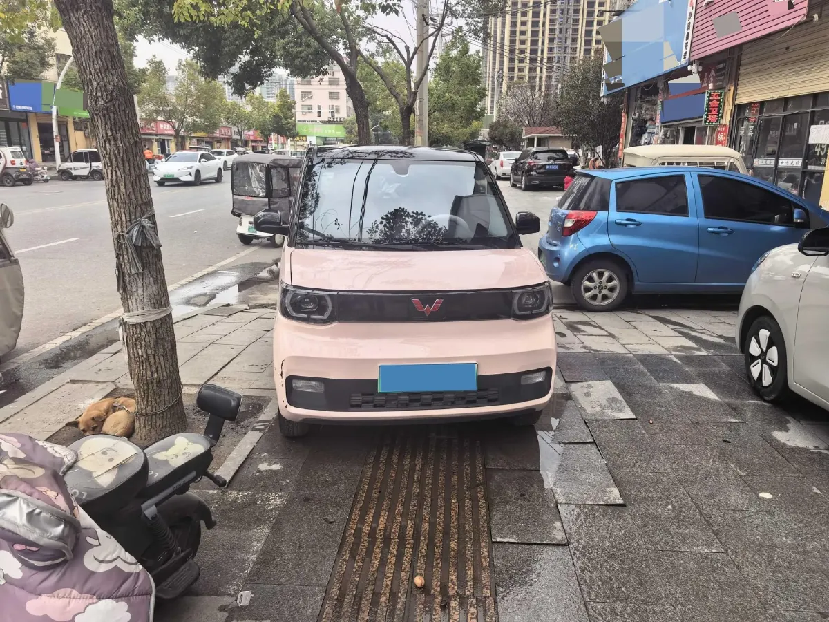2022 WuLing HongGuang MINI EV BEV 9KWH,autocango,china used car exporter,china ev exporter,chinese used car exporter,chinese used ev exporter