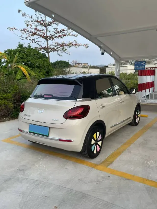 2023 EV House YOUNG BEV 32.56KWH,autocango,china used car exporter,china ev exporter,chinese used car exporter,chinese used ev exporter