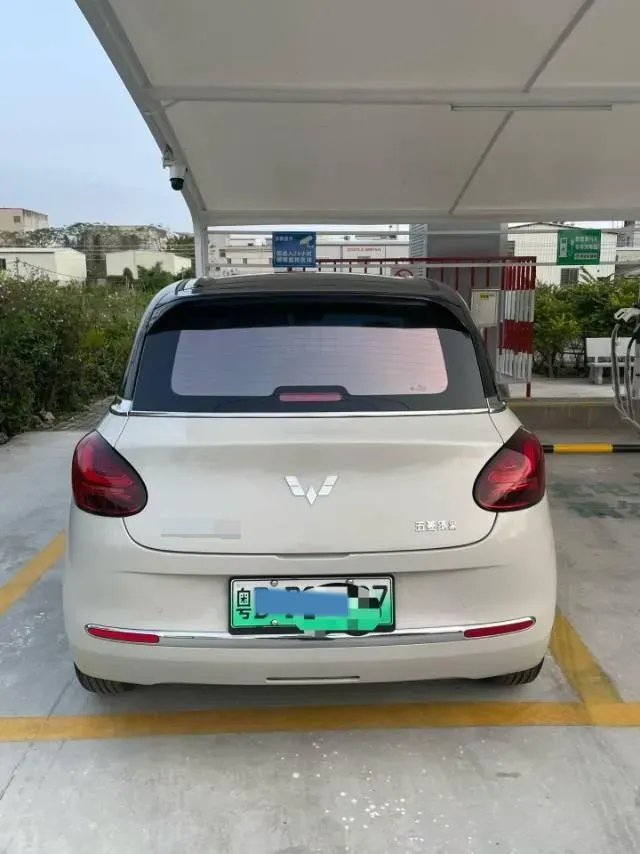 2023 EV House YOUNG BEV 32.56KWH,autocango,china used car exporter,china ev exporter,chinese used car exporter,chinese used ev exporter