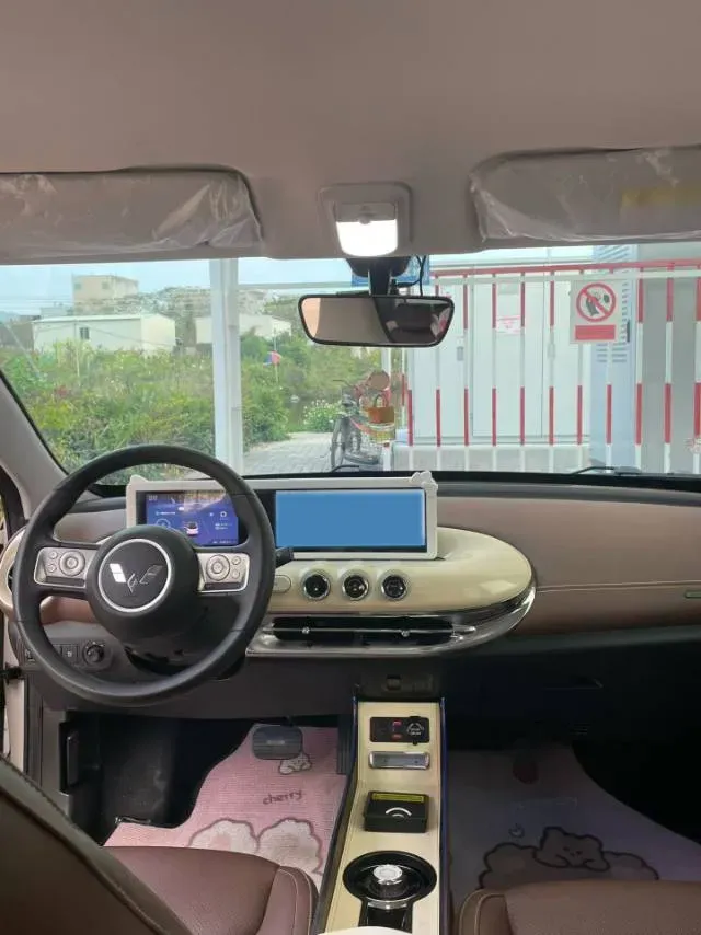 2023 EV House YOUNG BEV 32.56KWH,autocango,china used car exporter,china ev exporter,chinese used car exporter,chinese used ev exporter