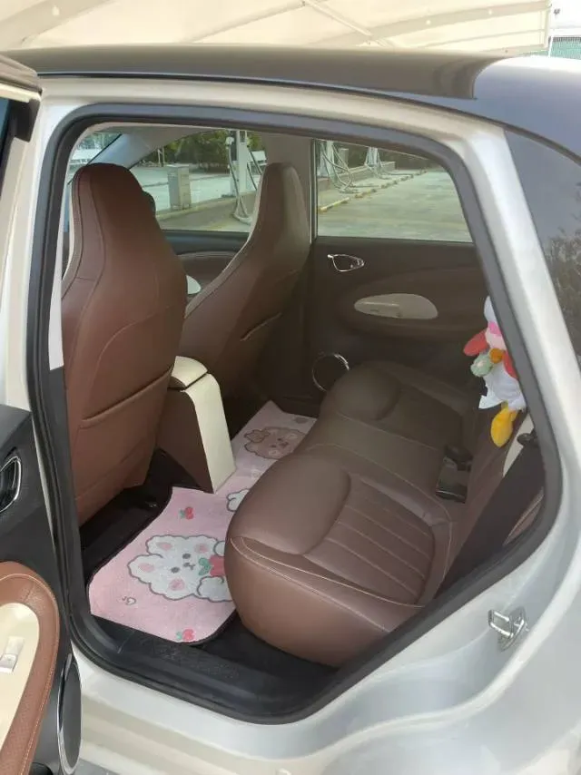 2023 EV House YOUNG BEV 32.56KWH,autocango,china used car exporter,china ev exporter,chinese used car exporter,chinese used ev exporter