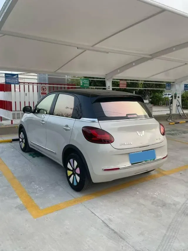 2023 EV House YOUNG BEV 32.56KWH,autocango,china used car exporter,china ev exporter,chinese used car exporter,chinese used ev exporter