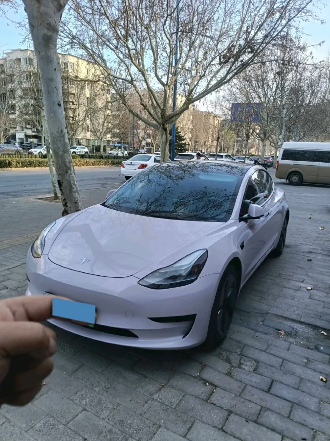 2022 Tesla Model 3 BEV 60KWH,autocango,china used car exporter,china ev exporter,chinese used car exporter,chinese used ev exporter