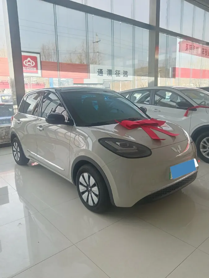 2023 WuLing BinGuo BEV 31.9KWH,autocango,china used car exporter,china ev exporter,chinese used car exporter,chinese used ev exporter