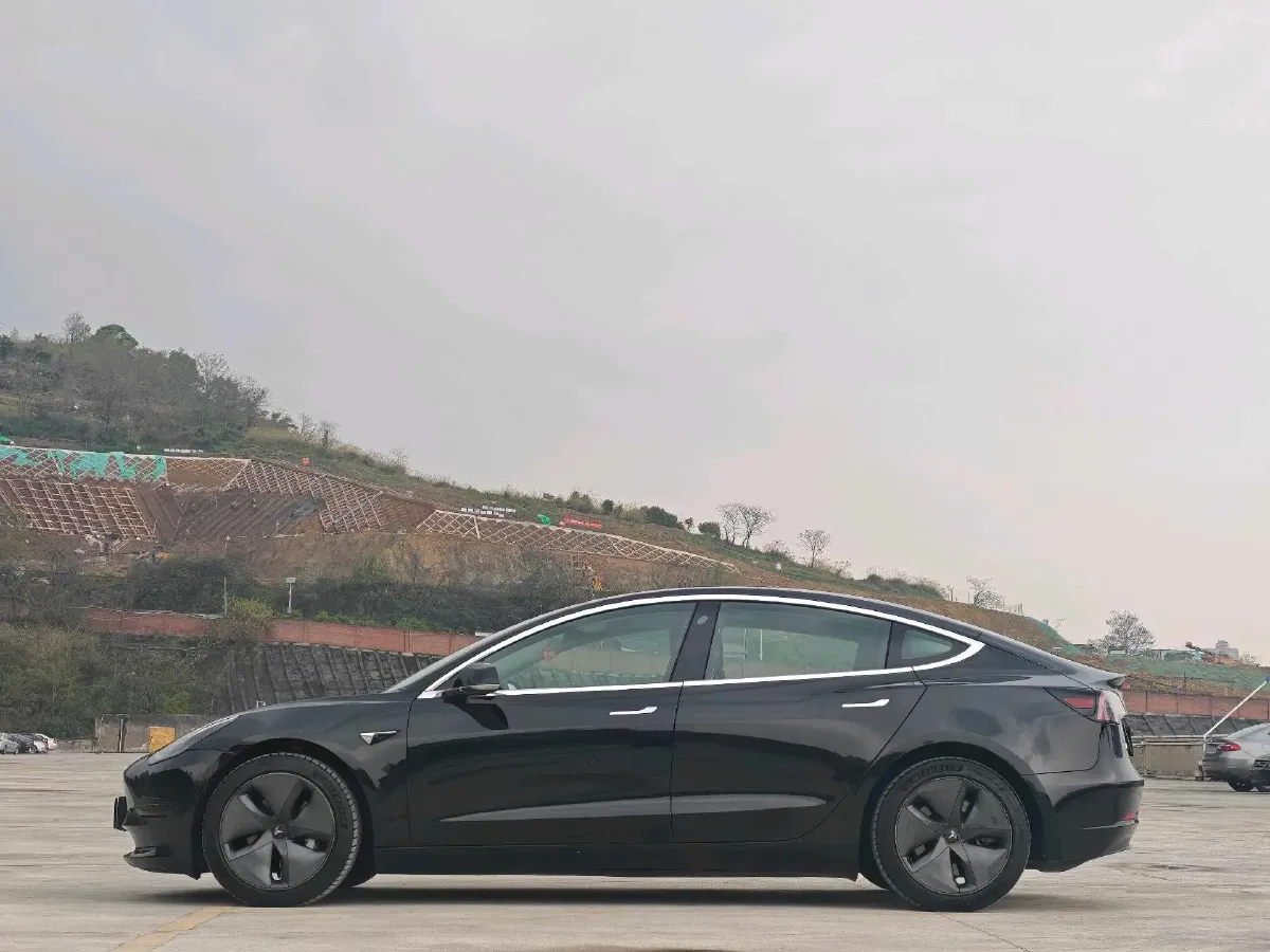 2020 Tesla Model 3 BEV 55KWH,autocango,china used car exporter,china ev exporter,chinese used car exporter,chinese used ev exporter