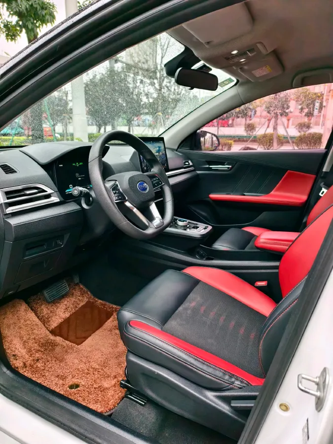 2019 BYD e2 BEV 47.3KWH,autocango,china used car exporter,china ev exporter,chinese used car exporter,chinese used ev exporter