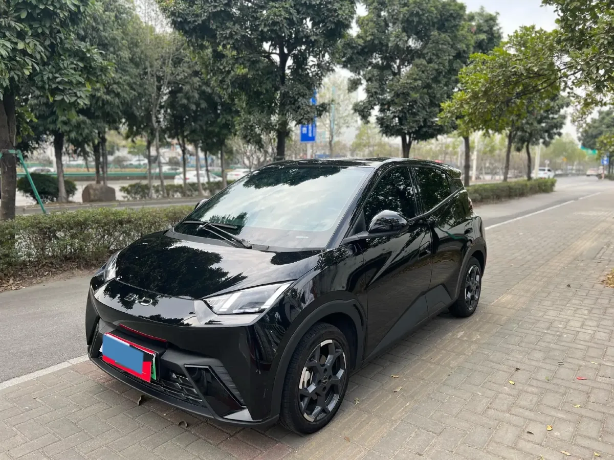 2024 BYD Seagull BEV 30.08KWH,autocango,china used car exporter,china ev exporter,chinese used car exporter,chinese used ev exporter