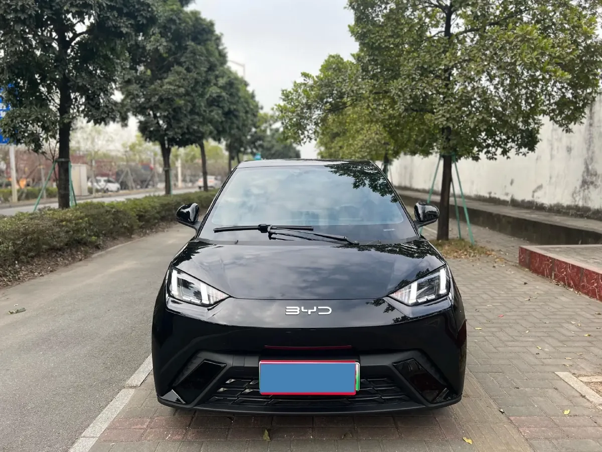2024 BYD Seagull BEV 30.08KWH,autocango,china used car exporter,china ev exporter,chinese used car exporter,chinese used ev exporter