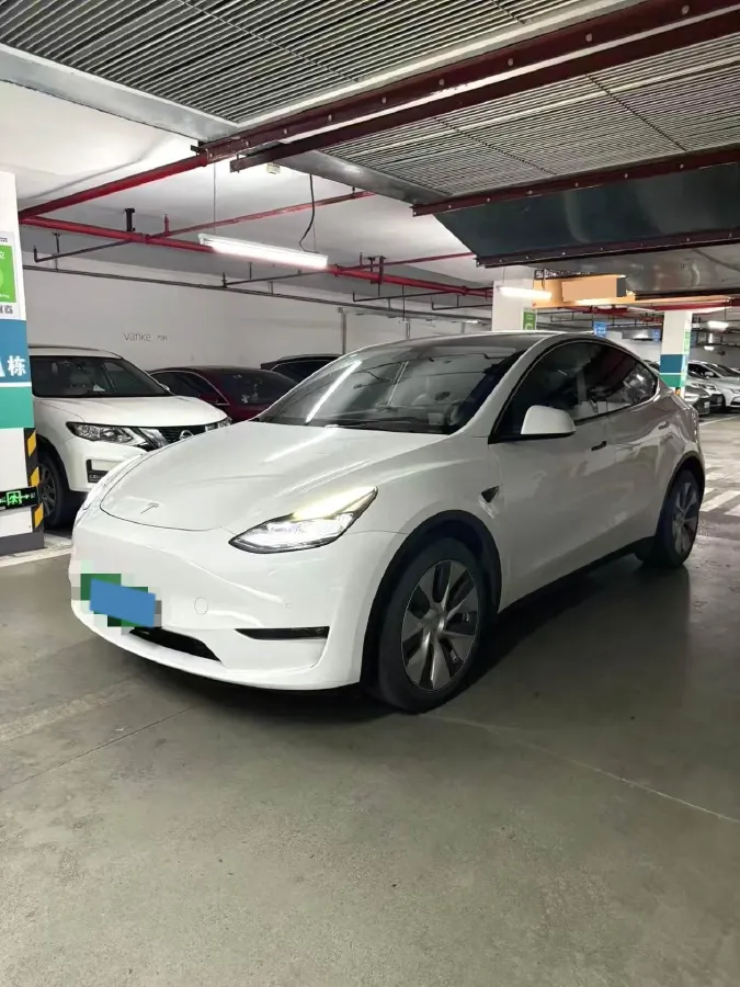 2021 Tesla Model 3 BEV 76.8KWH,autocango,china used car exporter,china ev exporter,chinese used car exporter,chinese used ev exporter