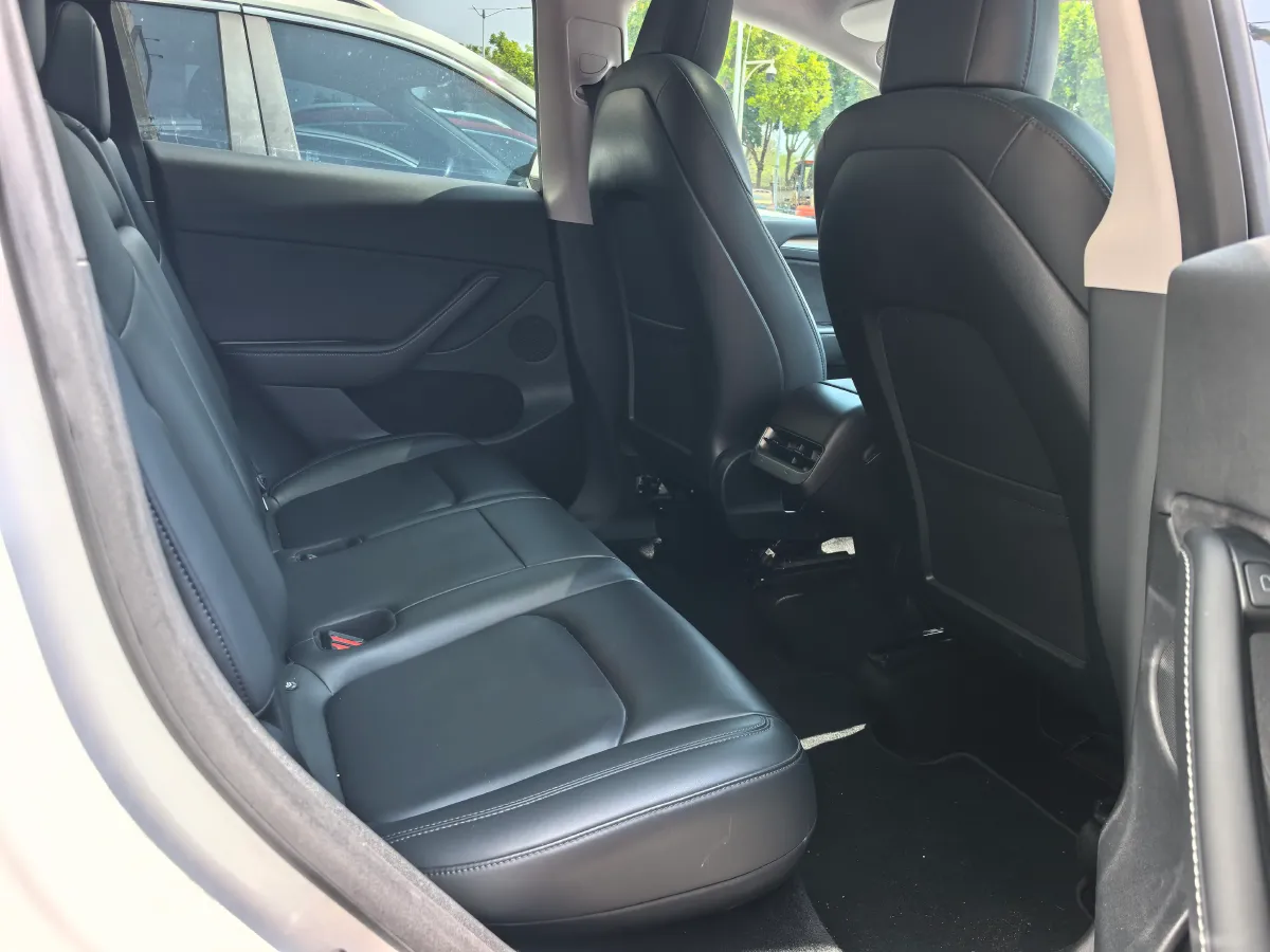 2021 Tesla Model 3 BEV 76.8KWH,autocango,china used car exporter,china ev exporter,chinese used car exporter,chinese used ev exporter