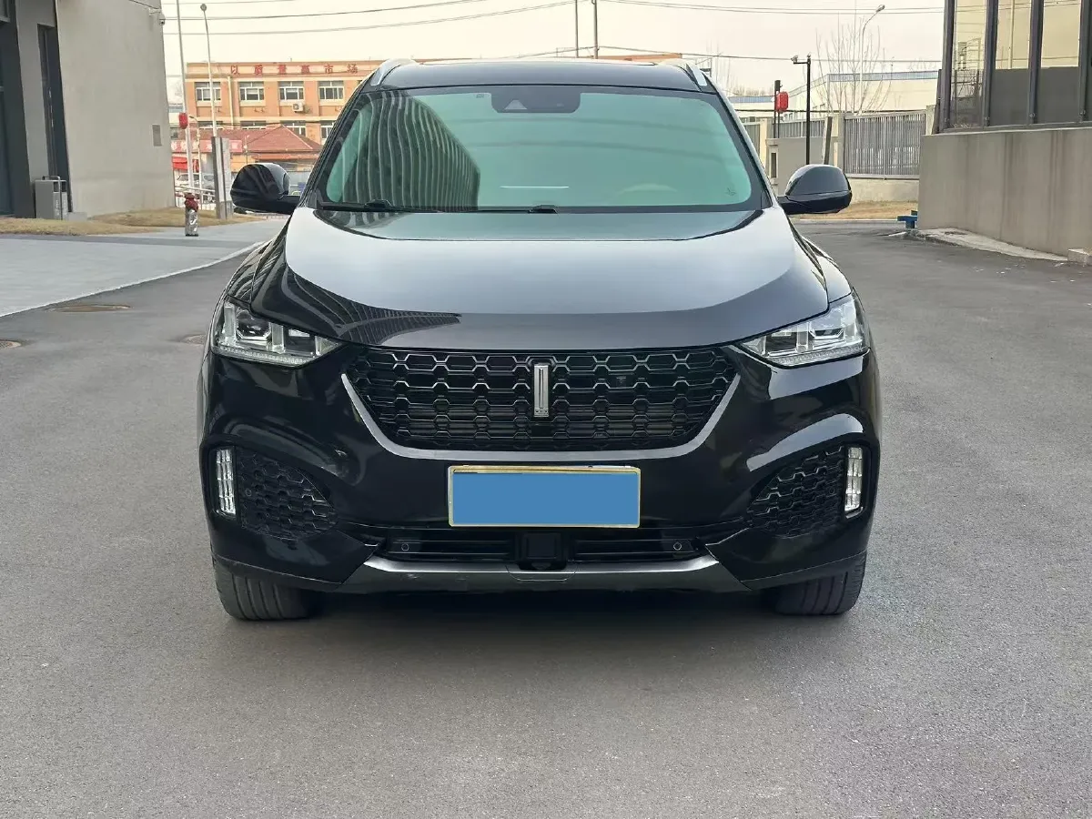 2019 WEY VV6 2.0T 224HP L4 7DCT,autocango,china used car exporter,china ev exporter,chinese used car exporter,chinese used ev exporter