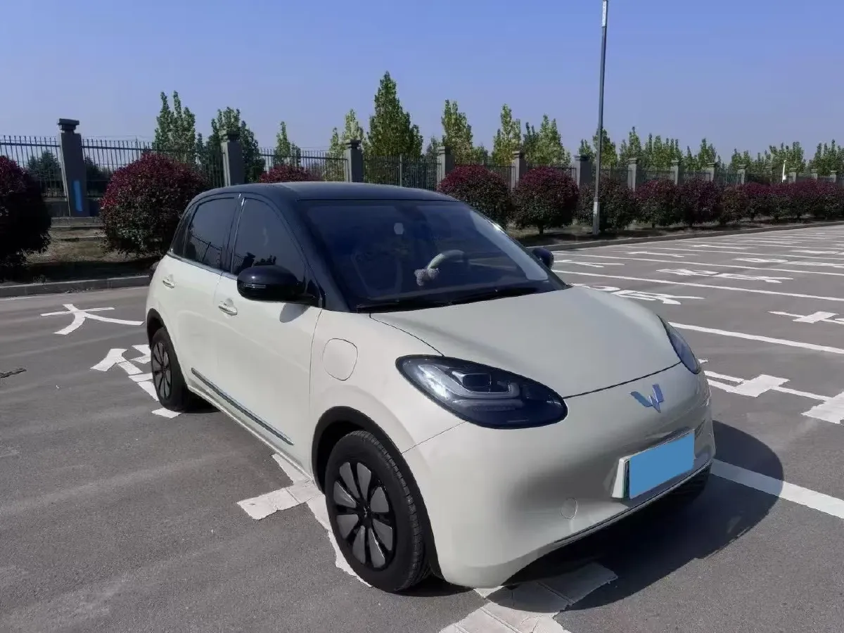 2023 WuLing BinGuo BEV 37.9KWH,autocango,china used car exporter,china ev exporter,chinese used car exporter,chinese used ev exporter