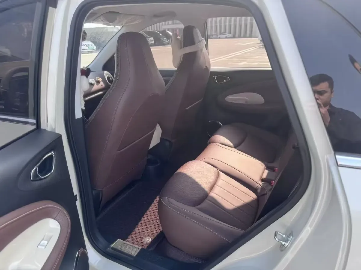 2023 WuLing BinGuo BEV 37.9KWH,autocango,china used car exporter,china ev exporter,chinese used car exporter,chinese used ev exporter