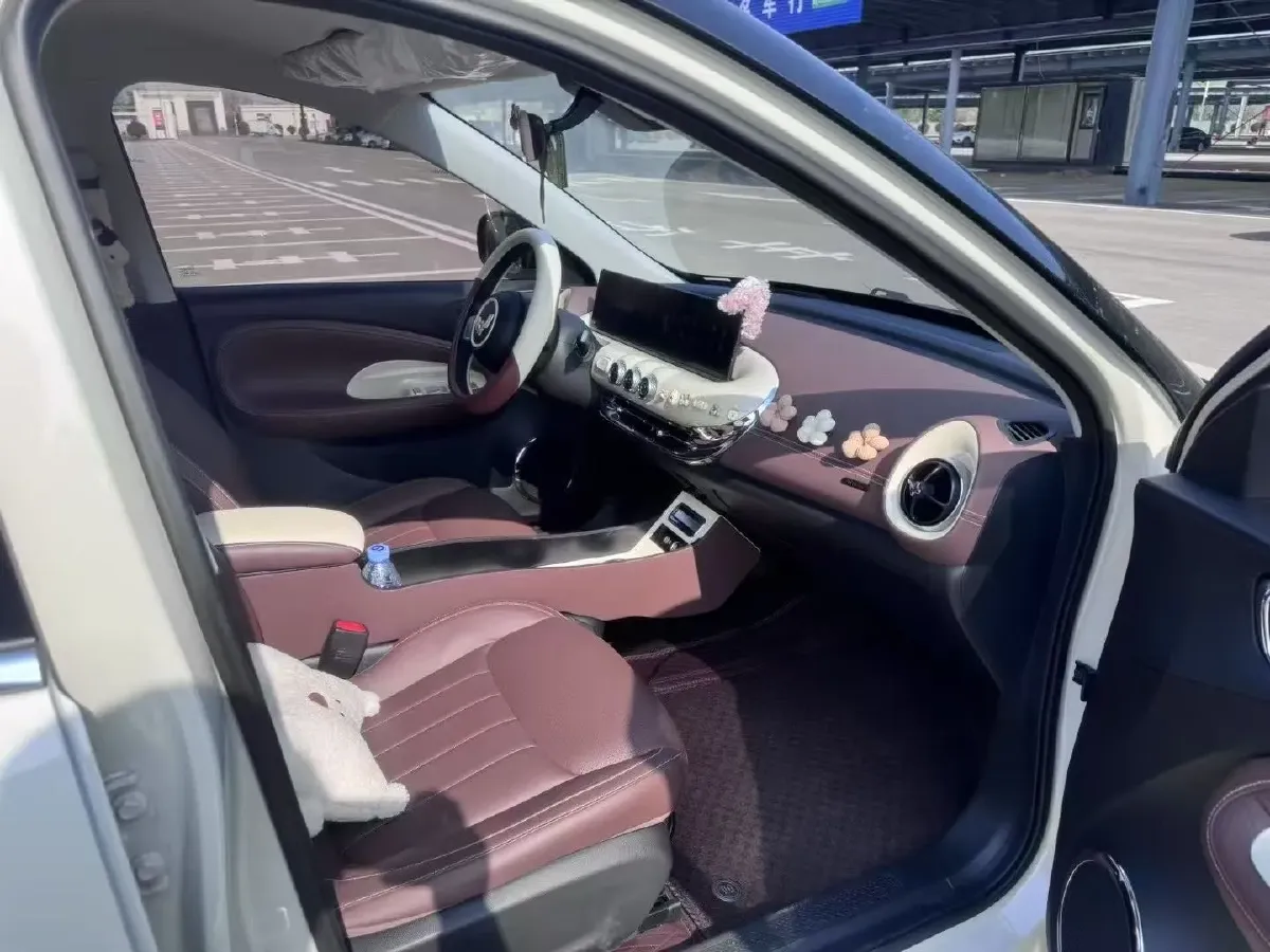 2023 WuLing BinGuo BEV 37.9KWH,autocango,china used car exporter,china ev exporter,chinese used car exporter,chinese used ev exporter