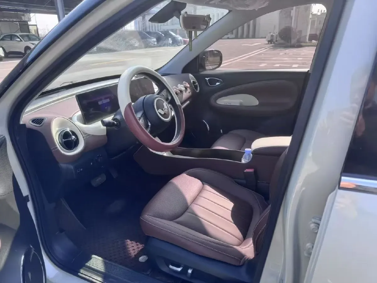 2023 WuLing BinGuo BEV 37.9KWH,autocango,china used car exporter,china ev exporter,chinese used car exporter,chinese used ev exporter