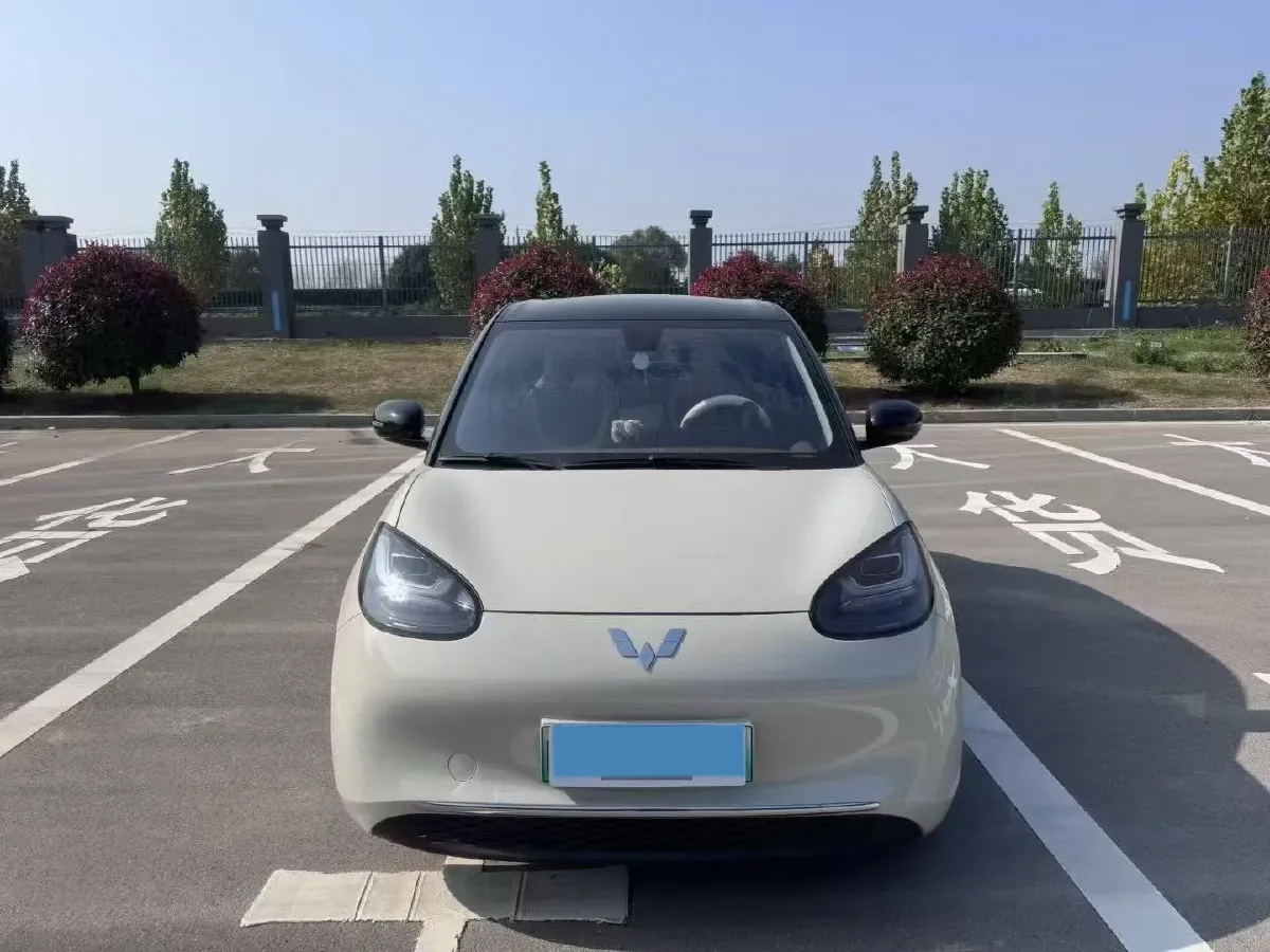 2023 WuLing BinGuo BEV 37.9KWH,autocango,china used car exporter,china ev exporter,chinese used car exporter,chinese used ev exporter