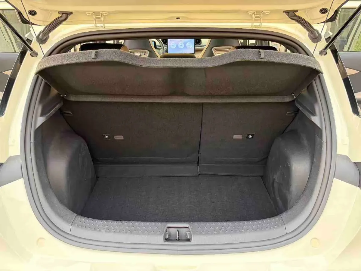 2023 BYD Dolphin BEV 44.928KWH,autocango,china used car exporter,china ev exporter,chinese used car exporter,chinese used ev exporter