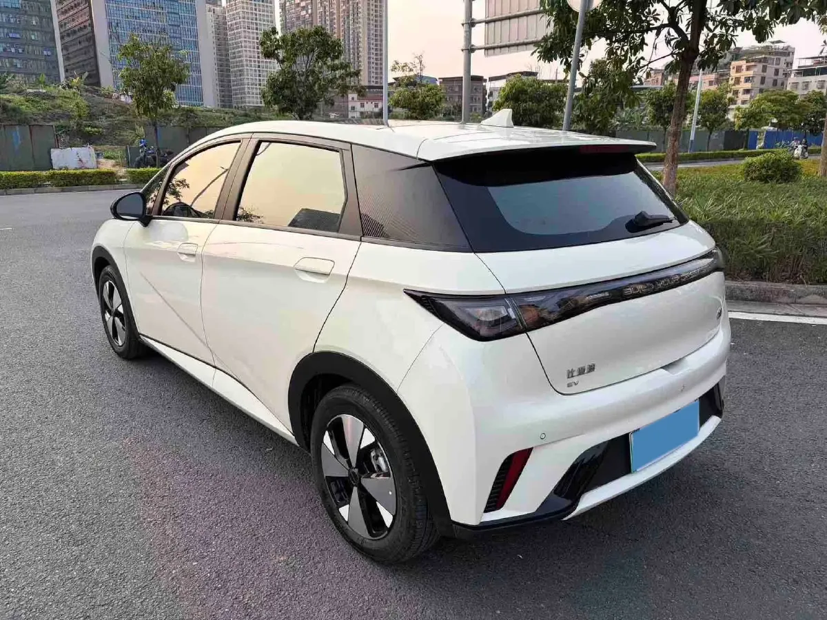 2023 BYD Dolphin BEV 44.928KWH,autocango,china used car exporter,china ev exporter,chinese used car exporter,chinese used ev exporter