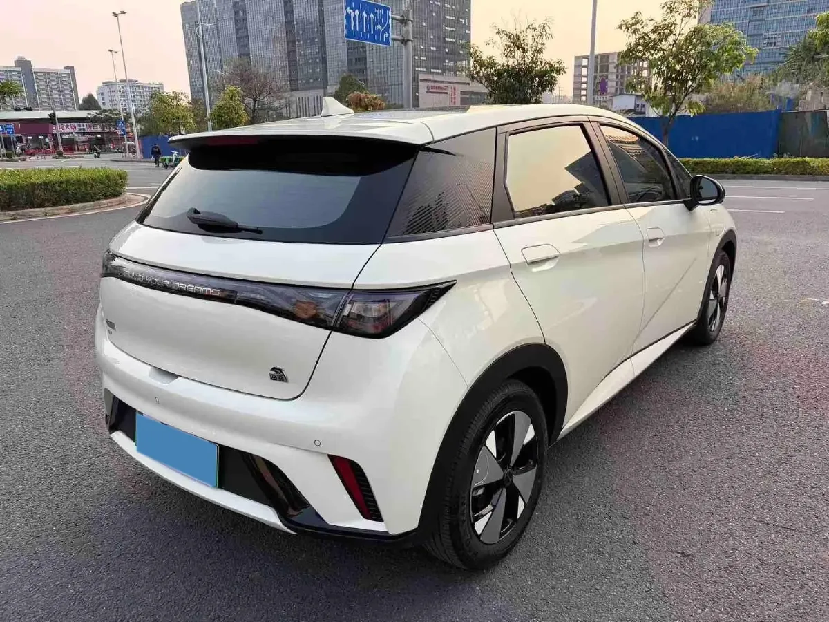 2023 BYD Dolphin BEV 44.928KWH,autocango,china used car exporter,china ev exporter,chinese used car exporter,chinese used ev exporter