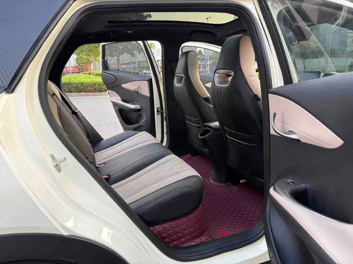 2023 BYD Dolphin BEV 44.928KWH,autocango,china used car exporter,china ev exporter,chinese used car exporter,chinese used ev exporter