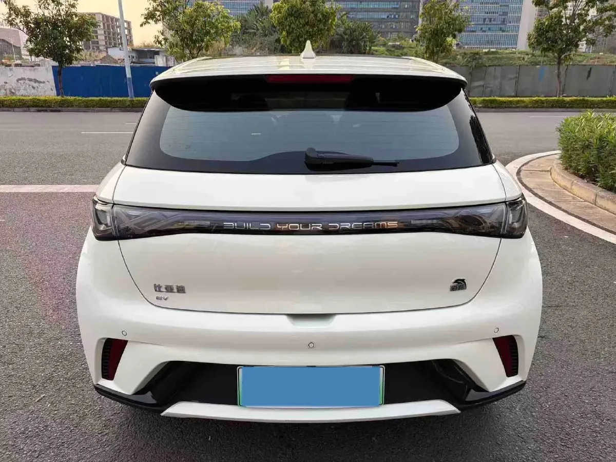 2023 BYD Dolphin BEV 44.928KWH,autocango,china used car exporter,china ev exporter,chinese used car exporter,chinese used ev exporter