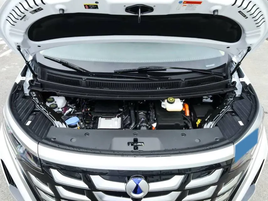 2025 Denza D9 BEV 103KWH,autocango,china used car exporter,china ev exporter,chinese used car exporter,chinese used ev exporter