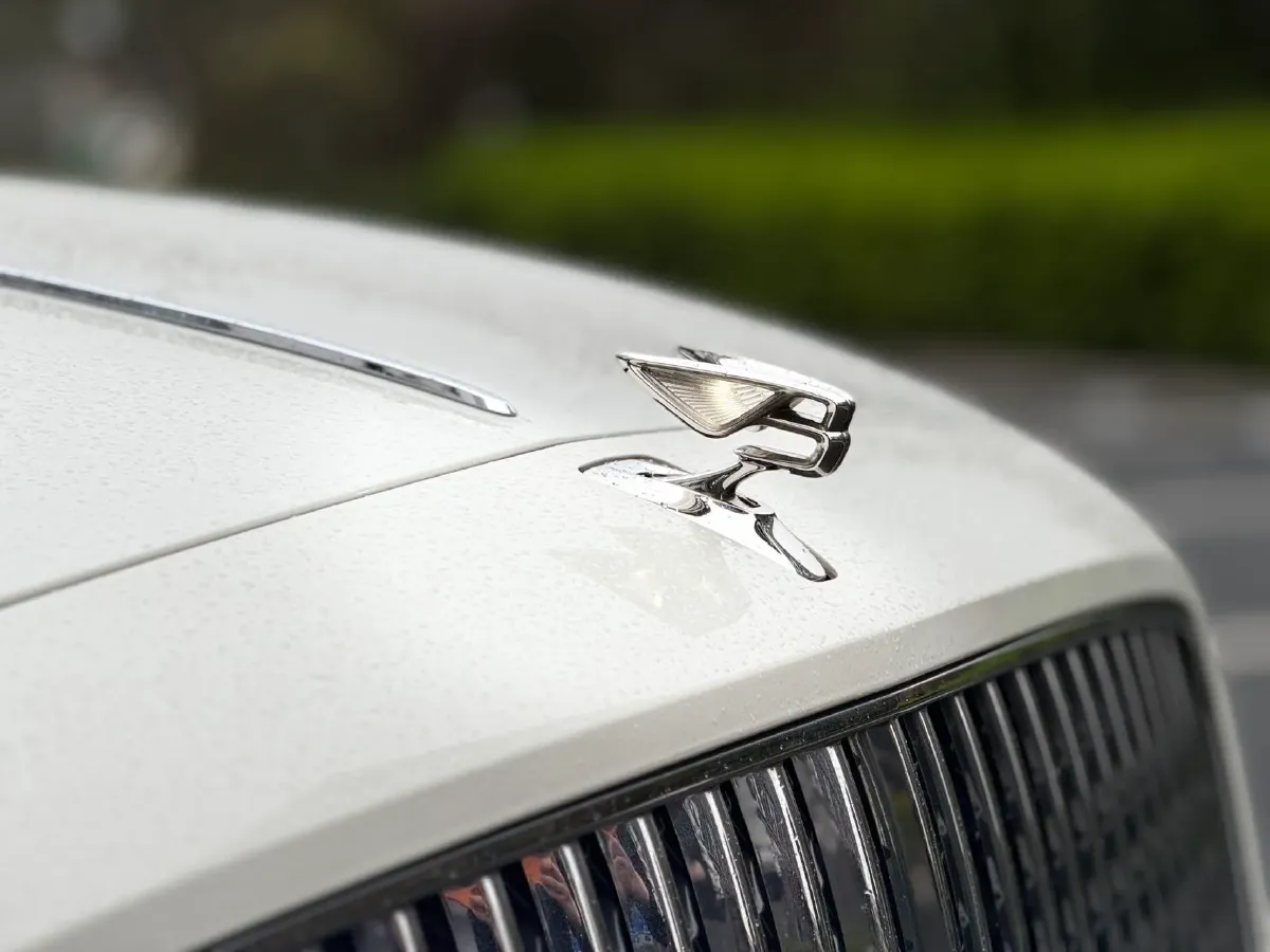 2022 Bentley Flying Spur 2.9T 416HP V6 8DCT PHEV 18KWH,autocango,china used car exporter,china ev exporter,chinese used car exporter,chinese used ev exporter