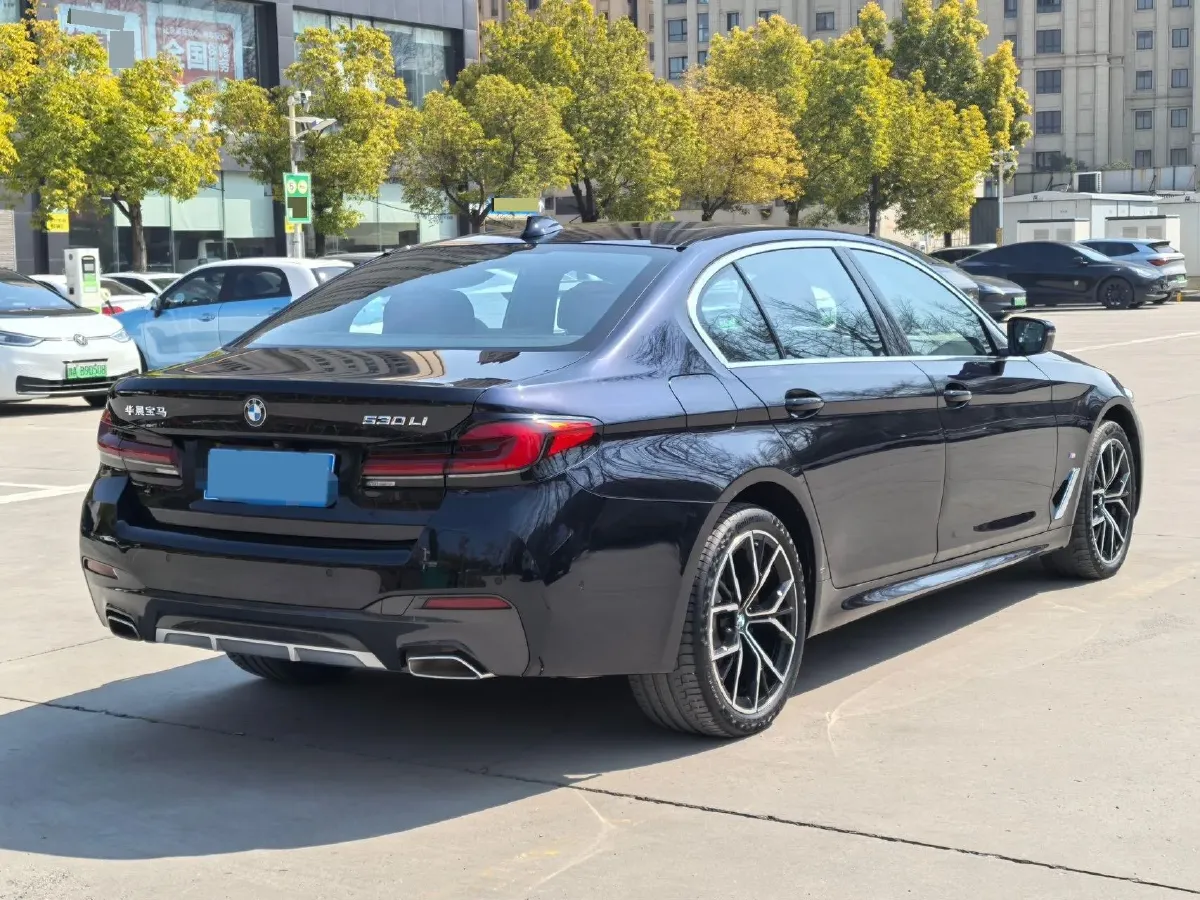 2023 BMW 5 Series 2.0T 245HP L4 8AT,autocango,china used car exporter,china ev exporter,chinese used car exporter,chinese used ev exporter