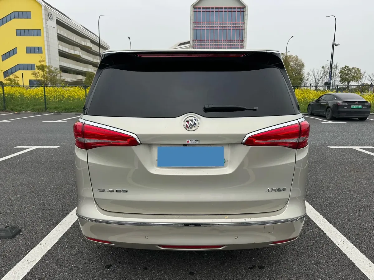 2018 Buick GL8 2.0T 260HP L4 6AT,autocango,china used car exporter,china ev exporter,chinese used car exporter,chinese used ev exporter