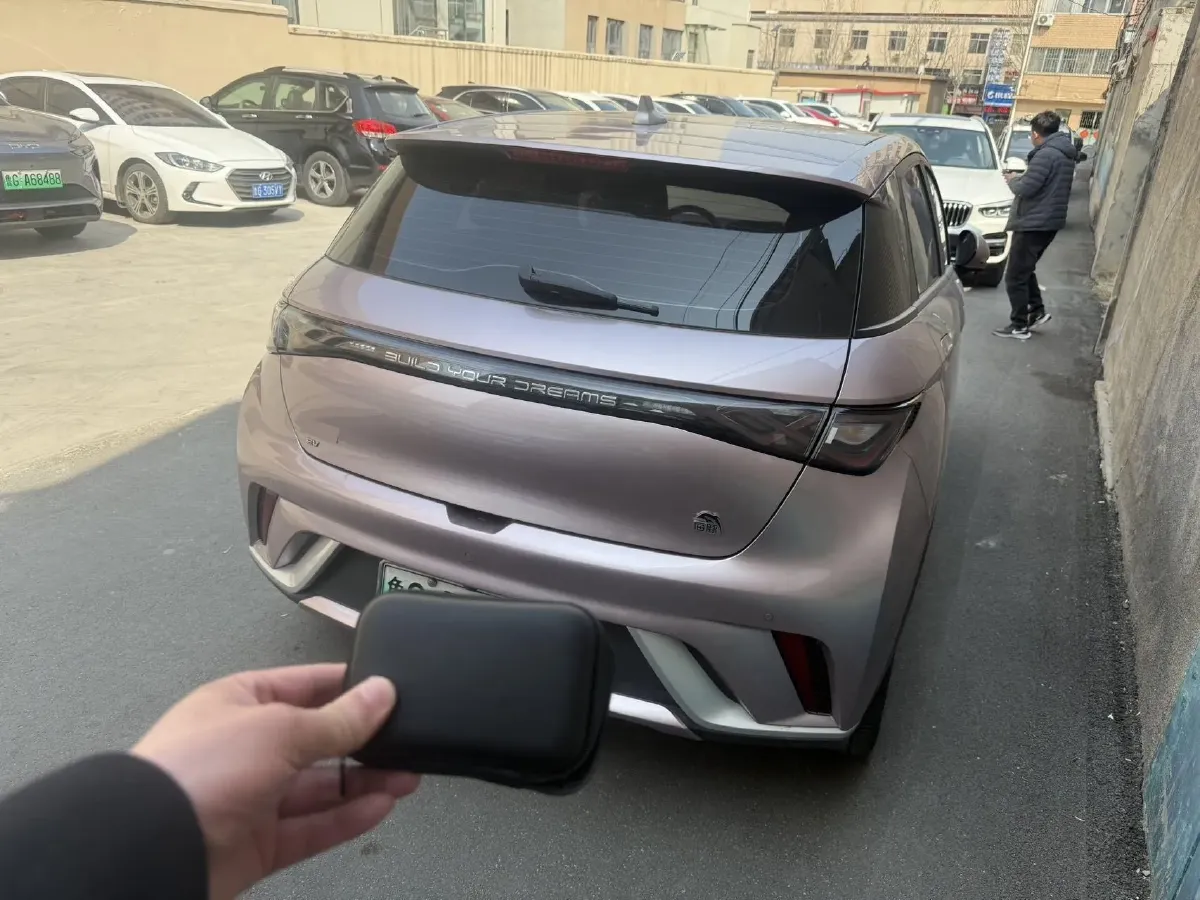 2023 BYD Dolphin BEV 44.928KWH,autocango,china used car exporter,china ev exporter,chinese used car exporter,chinese used ev exporter