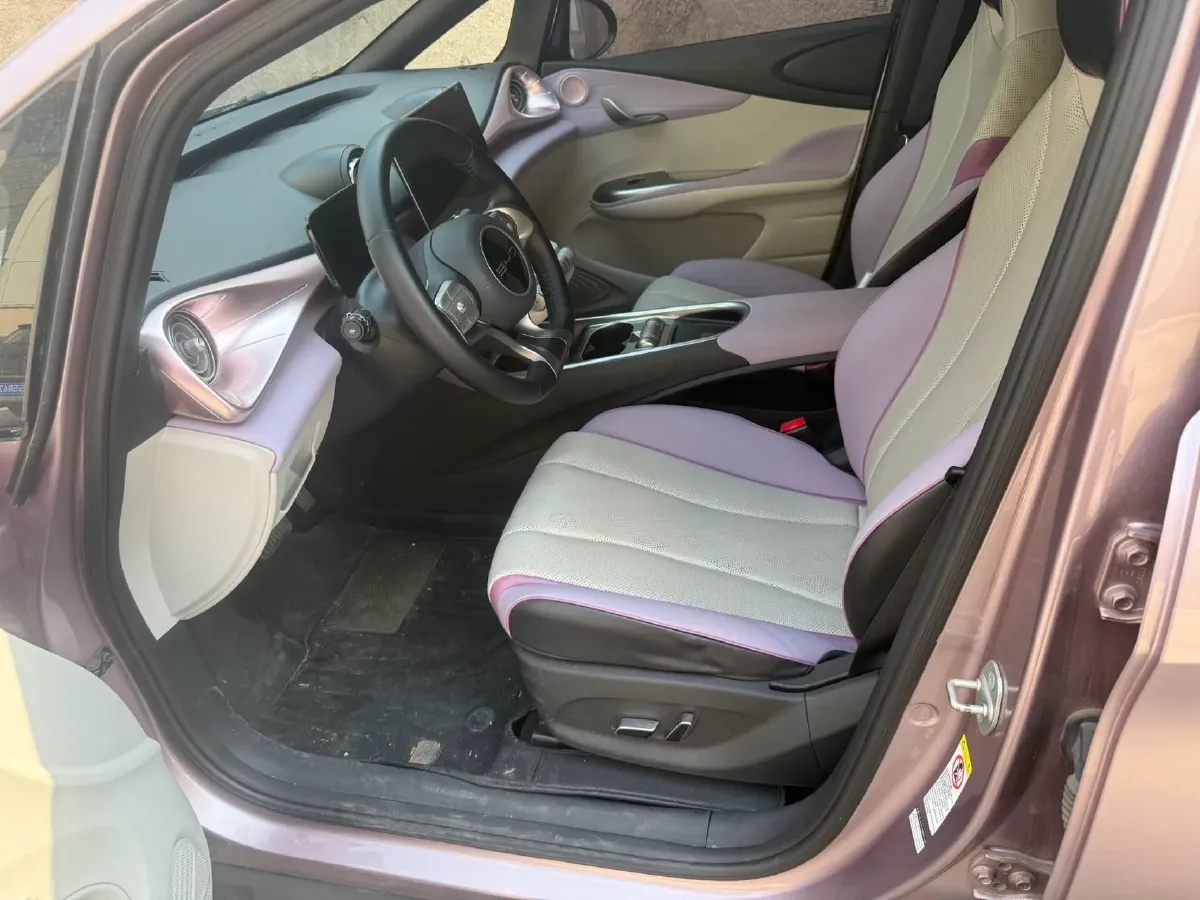 2023 BYD Dolphin BEV 44.928KWH,autocango,china used car exporter,china ev exporter,chinese used car exporter,chinese used ev exporter