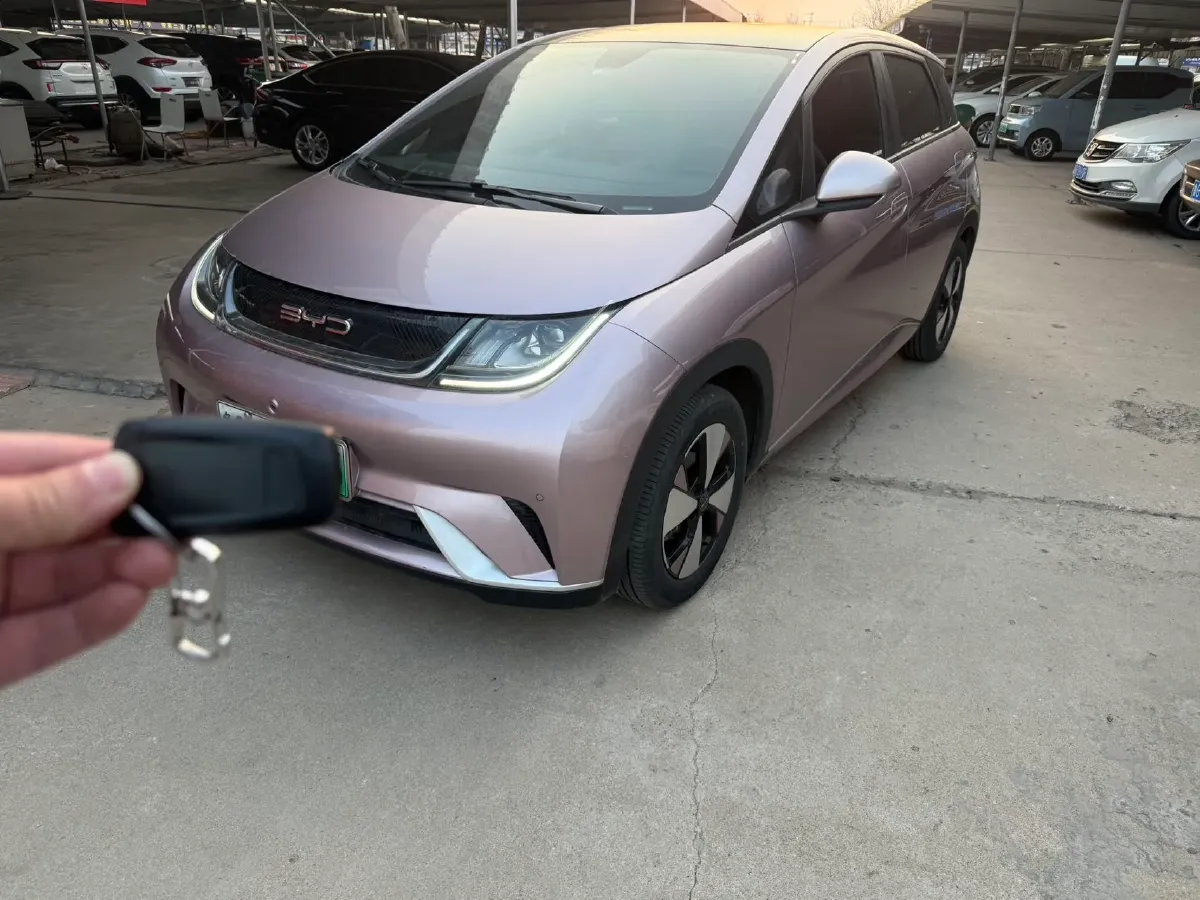 2023 BYD Dolphin BEV 44.928KWH,autocango,china used car exporter,china ev exporter,chinese used car exporter,chinese used ev exporter