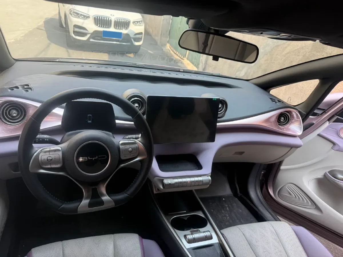 2023 BYD Dolphin BEV 44.928KWH,autocango,china used car exporter,china ev exporter,chinese used car exporter,chinese used ev exporter