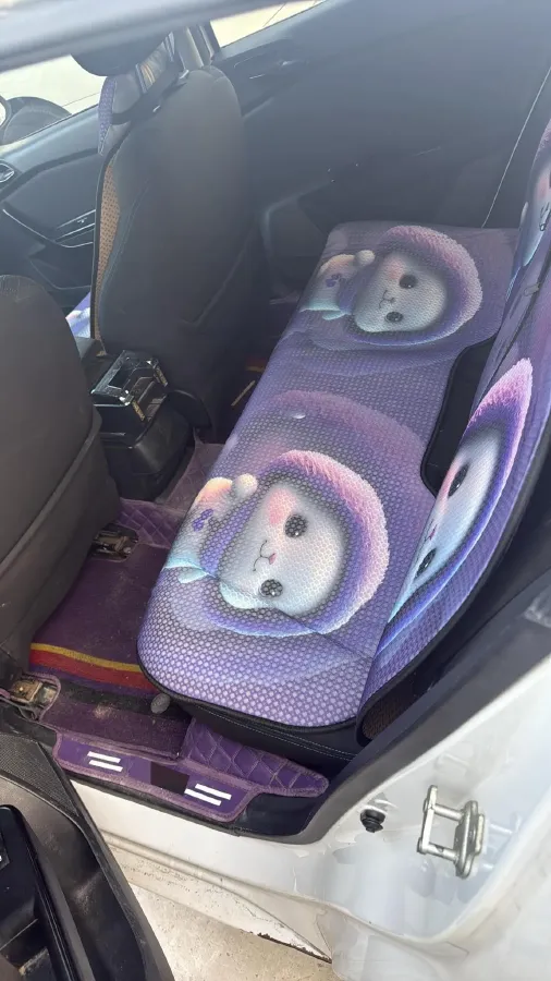 2020 BaoJun 310 1.2L 80HP L4 5MT,autocango,china used car exporter,china ev exporter,chinese used car exporter,chinese used ev exporter