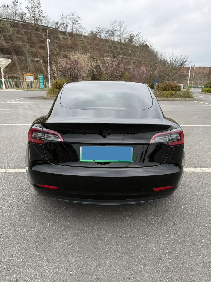 2021 Tesla Model 3 BEV 55KWH,autocango,china used car exporter,china ev exporter,chinese used car exporter,chinese used ev exporter