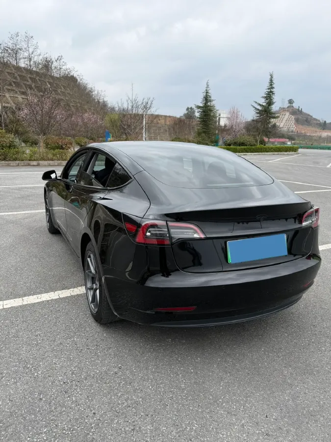 2021 Tesla Model 3 BEV 55KWH,autocango,china used car exporter,china ev exporter,chinese used car exporter,chinese used ev exporter