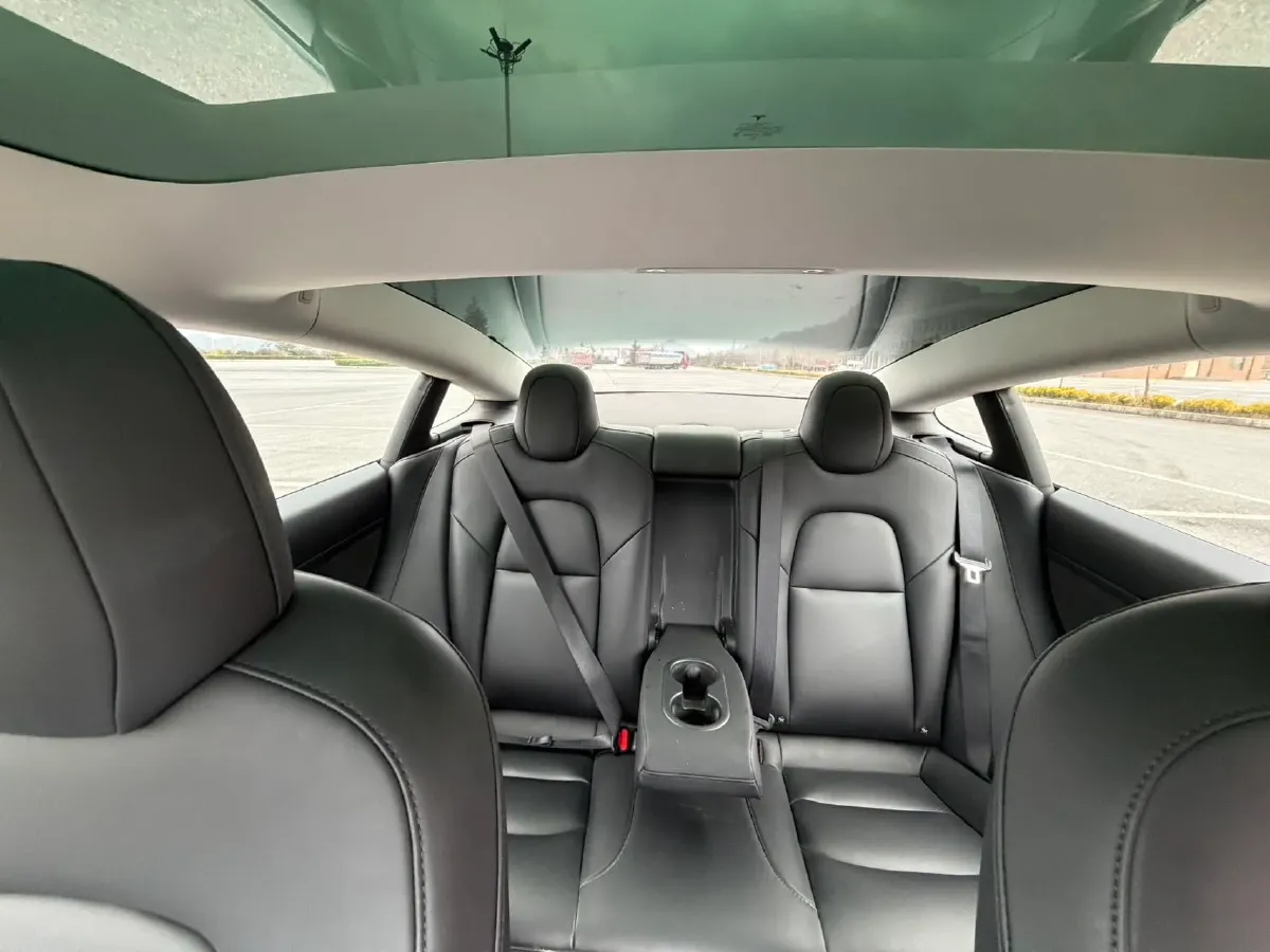 2021 Tesla Model 3 BEV 55KWH,autocango,china used car exporter,china ev exporter,chinese used car exporter,chinese used ev exporter